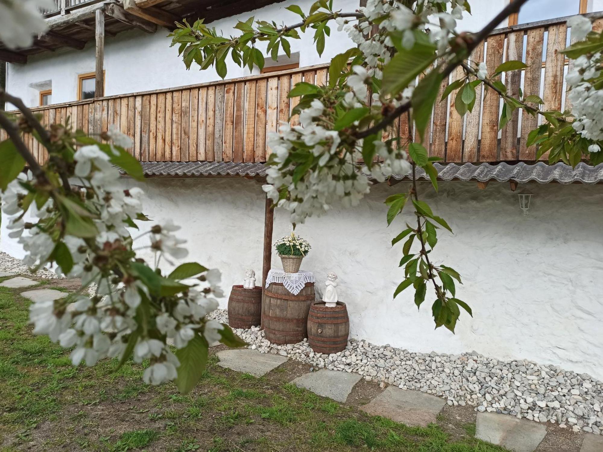 Natur Appartments Riesen San Lorenzo di Sebato Εξωτερικό φωτογραφία
