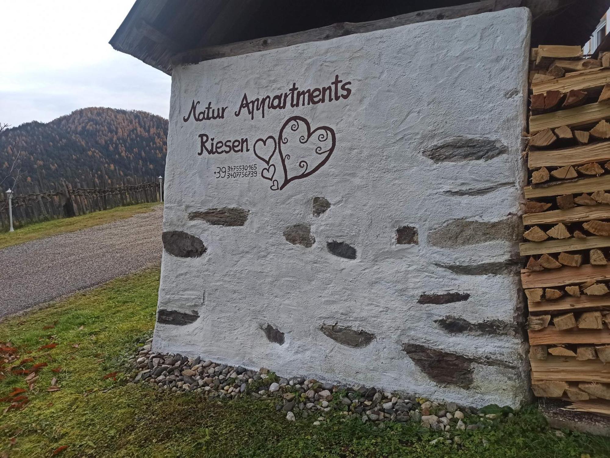 Natur Appartments Riesen San Lorenzo di Sebato Εξωτερικό φωτογραφία