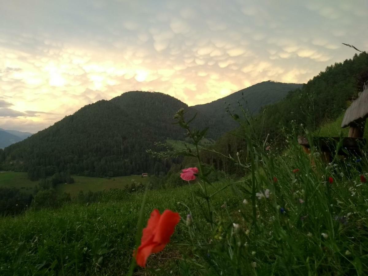 Natur Appartments Riesen San Lorenzo di Sebato Εξωτερικό φωτογραφία